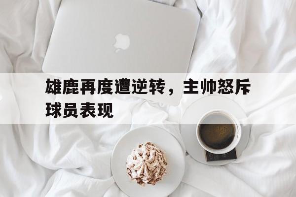 雄鹿再度遭逆转，主帅怒斥球员表现
